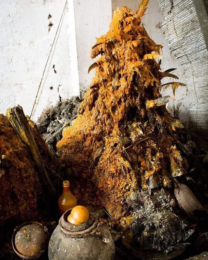 Educate and guide individuals on the ancient practices of voodoo, empowering them to use these spiritual tools to navigate life’s challenges.
